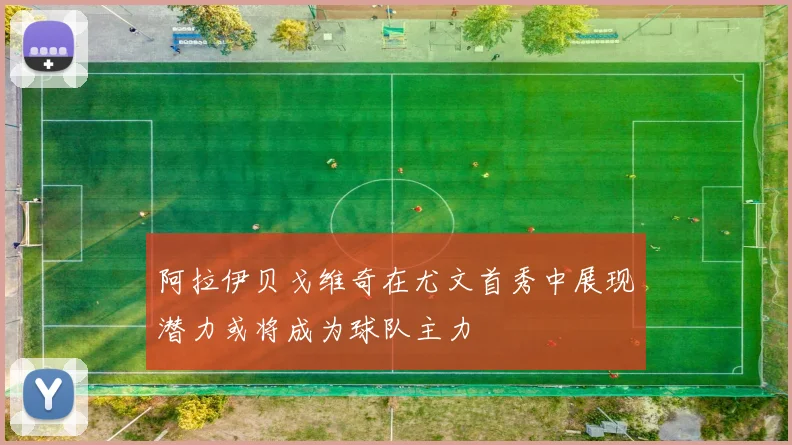 阿拉伊贝戈维奇在尤文首秀中展现潜力或将成为球队主力